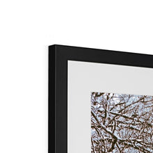 Load image into Gallery viewer, White Jungle 1 Framed & Mounted Print