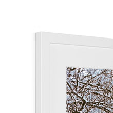 Load image into Gallery viewer, White Jungle 1 Framed & Mounted Print