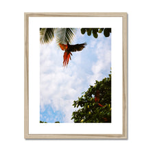 Load image into Gallery viewer, Drake's Bay Framed & Mounted Print