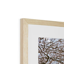 Load image into Gallery viewer, White Jungle 1 Framed & Mounted Print