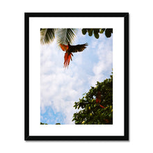 Load image into Gallery viewer, Drake's Bay Framed & Mounted Print